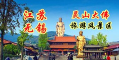 操b添b江苏无锡灵山大佛旅游风景区